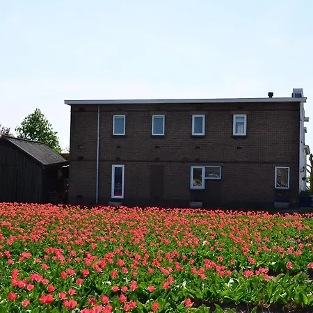 Wellness Pergamo 4* Voorhout