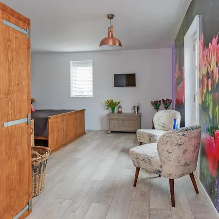 Bed & Breakfast Wellness Pergamo Voorhout