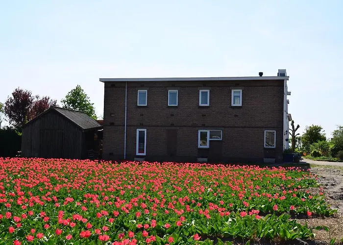 Wellness Pergamo 4* Voorhout