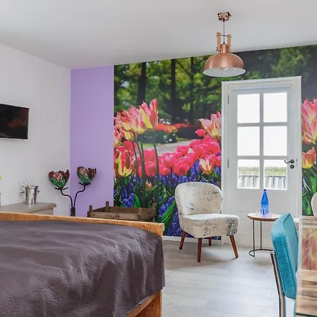 Wellness Pergamo Voorhout