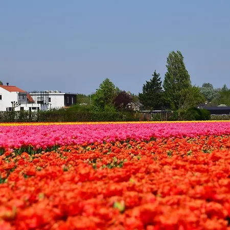 Wellness Pergamo Bed and breakfast 4*