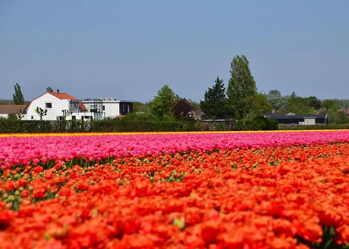 Wellness Pergamo Отель типа 